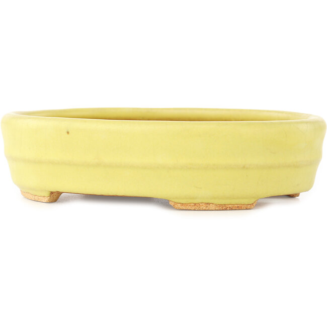 Ovale gele bonsai pot van Hattori - 140 x 110 x 37 mm