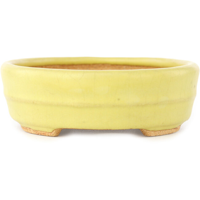 Oval yellow bonsai pot by Hattori - 140 x 110 x 37 mm