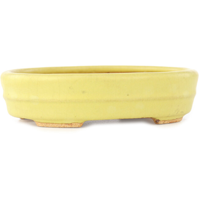 Ovale gele bonsai pot van Hattori - 140 x 110 x 37 mm