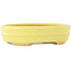 Oval yellow bonsai pot by Hattori - 140 x 110 x 37 mm