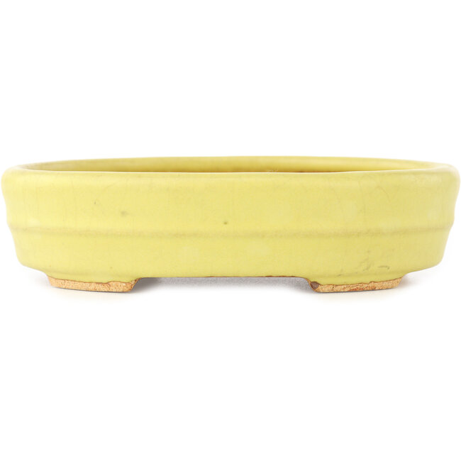 Vaso bonsai ovale giallo di Hattori - 140 x 110 x 37 mm