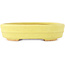 Oval yellow bonsai pot by Hattori - 140 x 110 x 37 mm