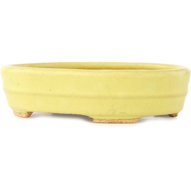 Oval yellow bonsai pot by Hattori - 140 x 110 x 37 mm