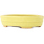 Oval yellow bonsai pot by Hattori - 140 x 110 x 37 mm