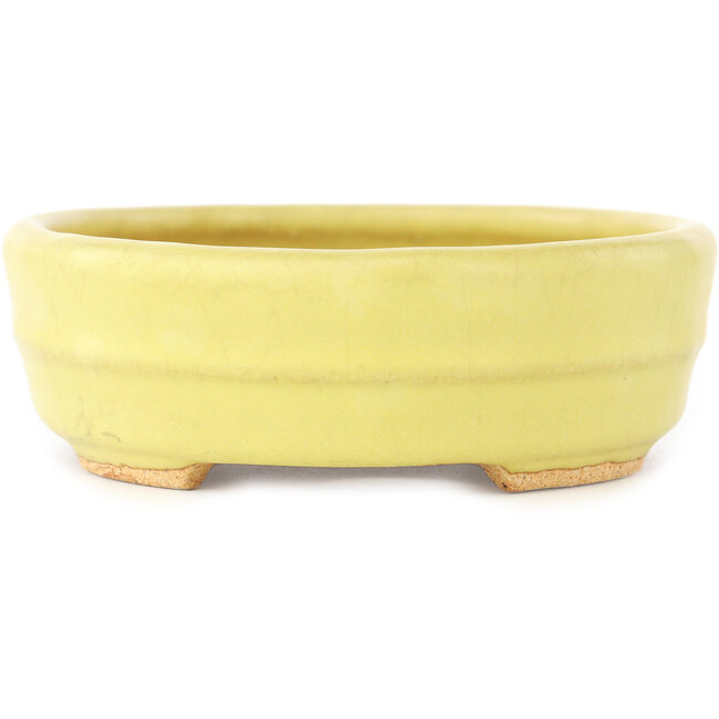 Ovale gele bonsai pot van Hattori - 140 x 110 x 37 mm