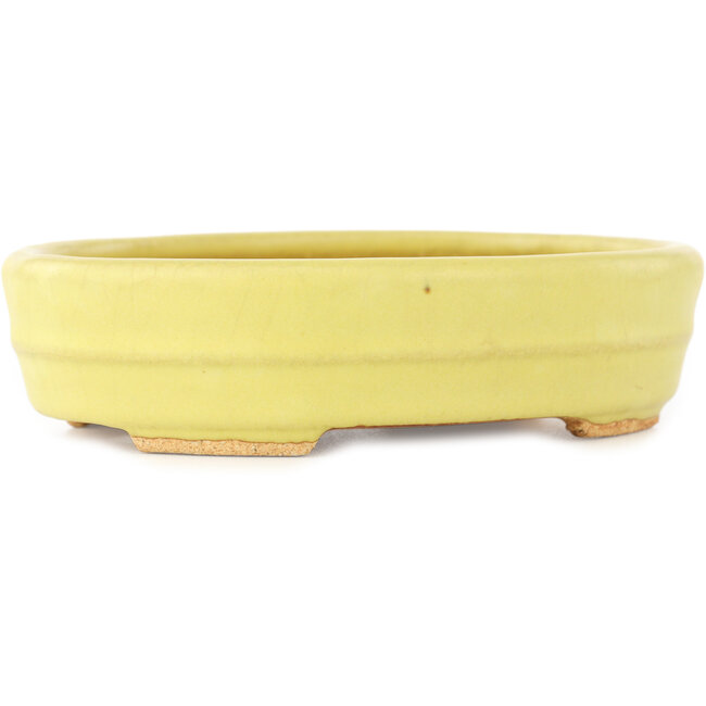 Pot à bonsaï ovale jaune de Hattori - 140 x 110 x 37 mm
