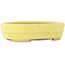 Pot à bonsaï ovale jaune de Hattori - 140 x 110 x 37 mm