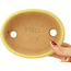 Oval yellow bonsai pot by Hattori - 140 x 110 x 37 mm
