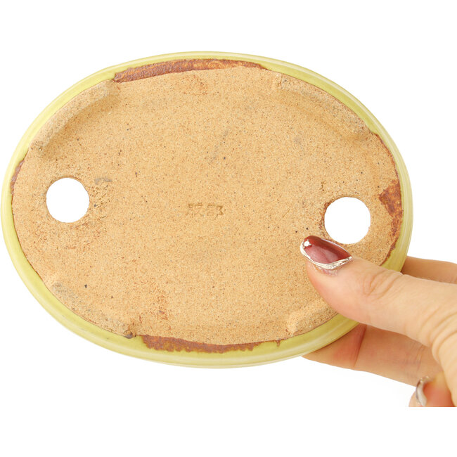 Maceta ovalada amarilla para bonsái de Hattori - 140 x 110 x 37 mm