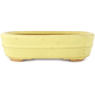  Hattori Tomoyuki 157 mm oval yellow bonsai pot by Hattori, Tokoname, Japan