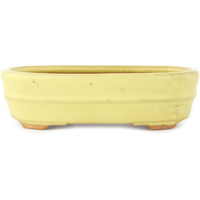 Pot à bonsaï ovale jaune de Hattori - 157 x 117 x 45 mm