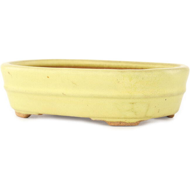 Pot à bonsaï ovale jaune de Hattori - 157 x 117 x 45 mm