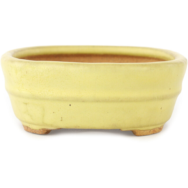 Vaso bonsai ovale giallo di Hattori - 157 x 117 x 45 mm