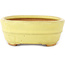 Pot à bonsaï ovale jaune de Hattori - 157 x 117 x 45 mm