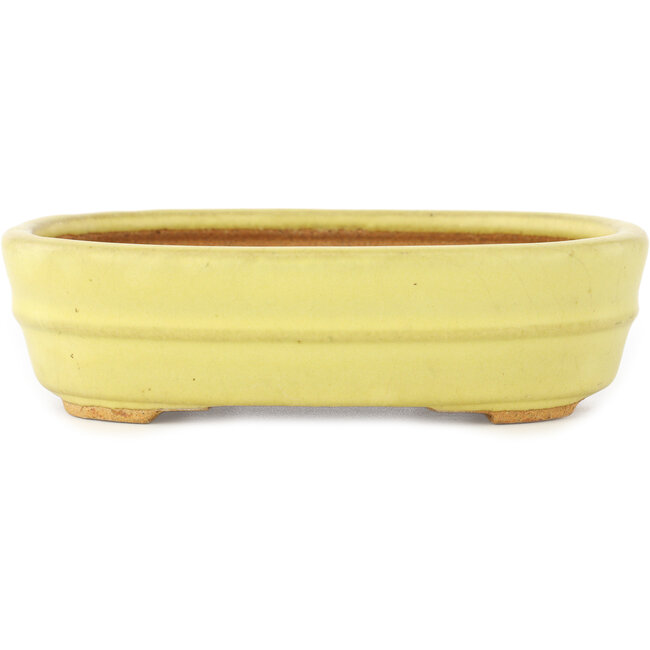 Maceta ovalada amarilla para bonsái de Hattori - 157 x 117 x 45 mm