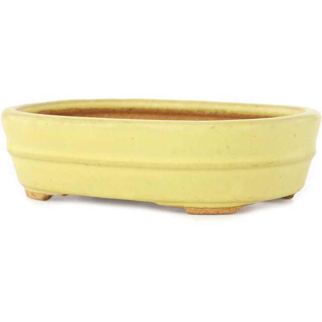 Oval yellow bonsai pot by Hattori - 157 x 117 x 45 mm