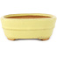 Pot à bonsaï ovale jaune de Hattori - 157 x 117 x 45 mm