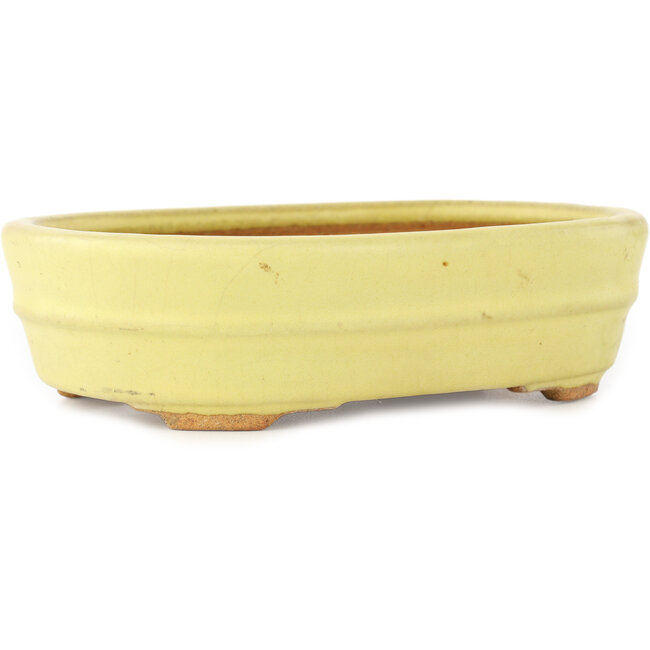 Vaso bonsai ovale giallo di Hattori - 157 x 117 x 45 mm