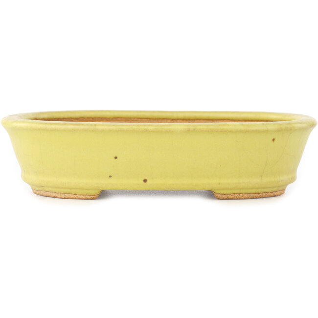 Pot à bonsaï ovale jaune de Hattori - 160 x 117 x 37 mm