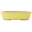 Pot à bonsaï ovale jaune de Hattori - 160 x 117 x 37 mm