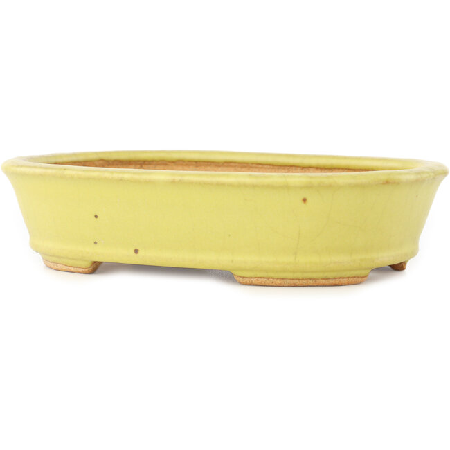Pot à bonsaï ovale jaune de Hattori - 160 x 117 x 37 mm