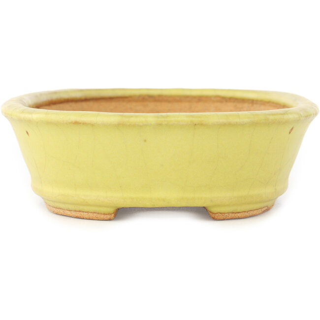 Vaso bonsai ovale giallo di Hattori - 160 x 117 x 37 mm