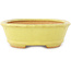 Pot à bonsaï ovale jaune de Hattori - 160 x 117 x 37 mm
