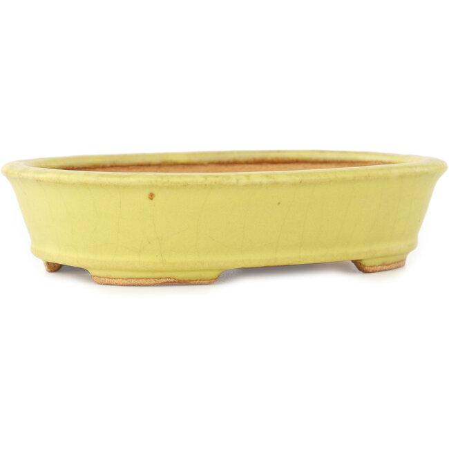 Maceta ovalada amarilla para bonsái de Hattori - 160 x 117 x 37 mm