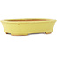 Pot à bonsaï ovale jaune de Hattori - 160 x 117 x 37 mm