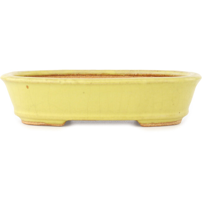 Maceta ovalada amarilla para bonsái de Hattori - 160 x 117 x 37 mm