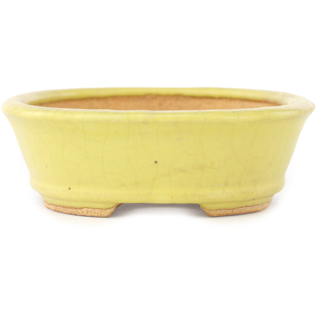 Vaso bonsai ovale giallo di Hattori - 160 x 117 x 37 mm