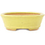 Pot à bonsaï ovale jaune de Hattori - 160 x 117 x 37 mm