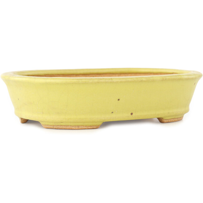 Ovale gele bonsai pot van Hattori - 160 x 117 x 37 mm