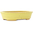 Pot à bonsaï ovale jaune de Hattori - 160 x 117 x 37 mm