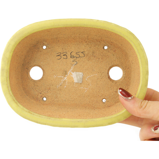 Maceta ovalada amarilla para bonsái de Hattori - 160 x 117 x 37 mm