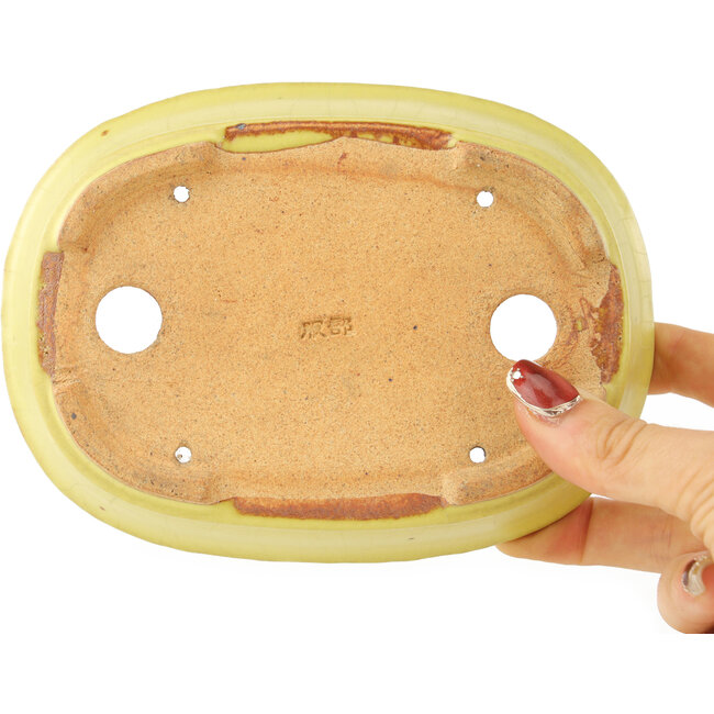 Oval yellow bonsai pot by Hattori - 160 x 117 x 37 mm