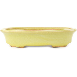  Hattori Tomoyuki Pot à bonsaï ovale jaune de 167 mm par Hattori, Tokoname, Japon