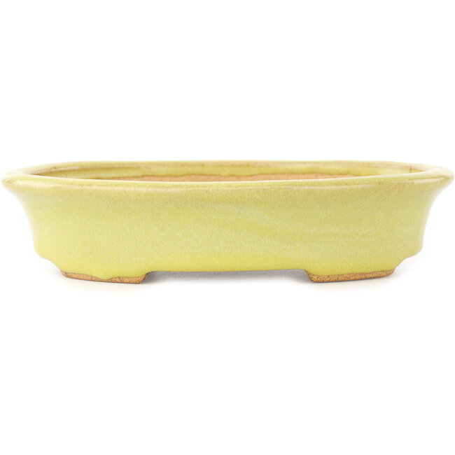 Pot à bonsaï ovale jaune de Hattori - 167 x 130 x 37 mm