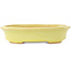 Pot à bonsaï ovale jaune de Hattori - 167 x 130 x 37 mm