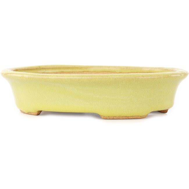 Ovale gele bonsai pot van Hattori - 167 x 130 x 37 mm