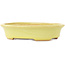 Pot à bonsaï ovale jaune de Hattori - 167 x 130 x 37 mm