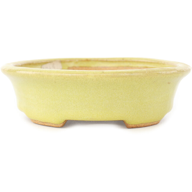 Maceta ovalada amarilla para bonsái de Hattori - 167 x 130 x 37 mm