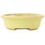 Ovaler gelber Bonsai-Topf von Hattori - 167 x 130 x 37 mm