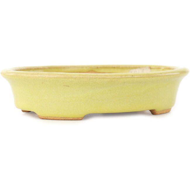 Oval yellow bonsai pot by Hattori - 167 x 130 x 37 mm