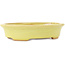 Pot à bonsaï ovale jaune de Hattori - 167 x 130 x 37 mm
