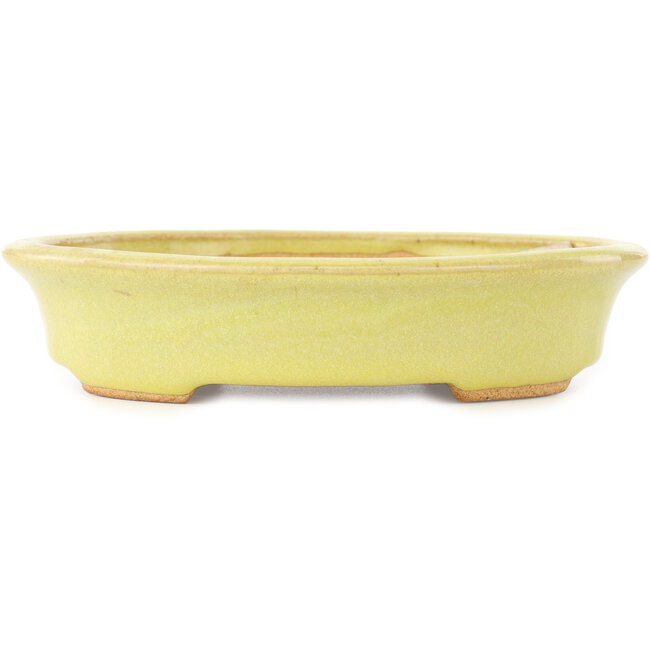 Pot à bonsaï ovale jaune de Hattori - 167 x 130 x 37 mm
