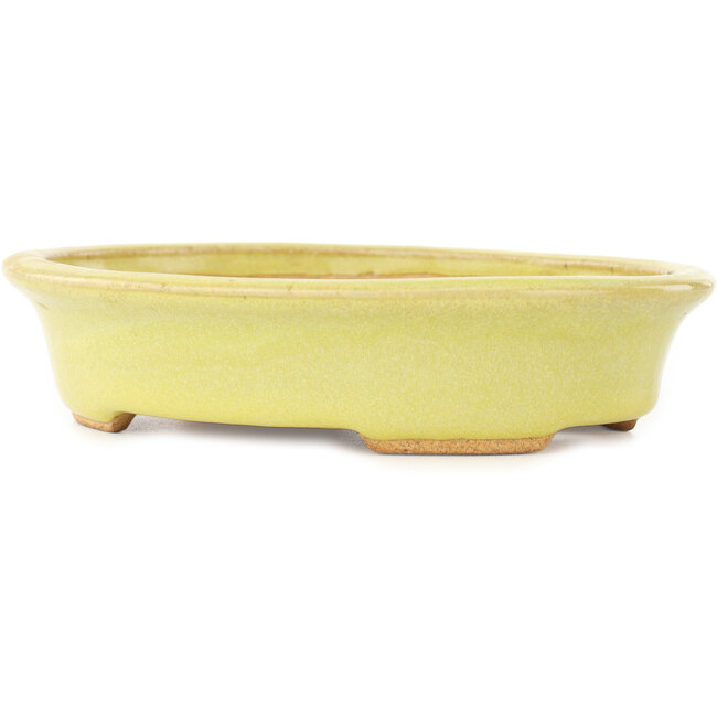 Oval yellow bonsai pot by Hattori - 167 x 130 x 37 mm