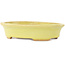 Pot à bonsaï ovale jaune de Hattori - 167 x 130 x 37 mm