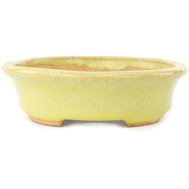 Oval yellow bonsai pot by Hattori - 167 x 130 x 37 mm
