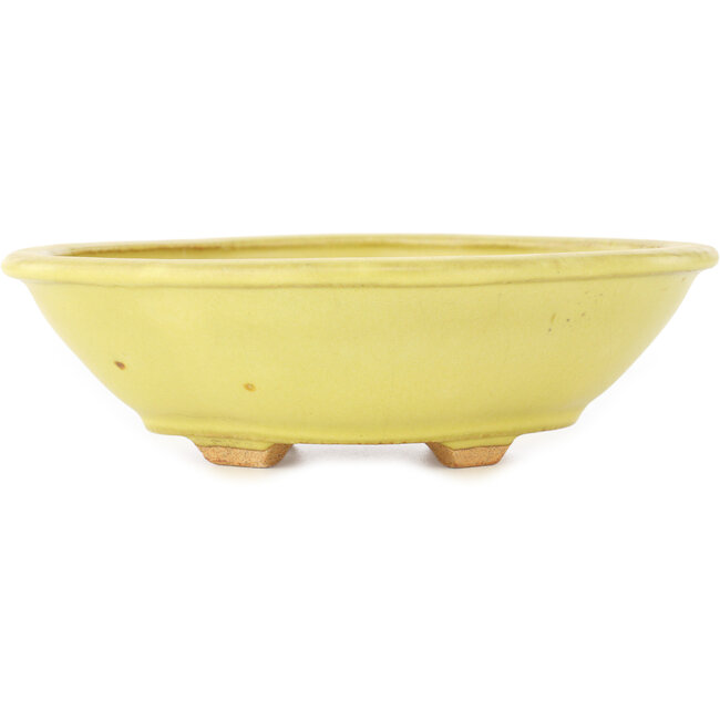 Pot à bonsaï Mokko jaune par Hattori - 163 x 140 x 48 mm
